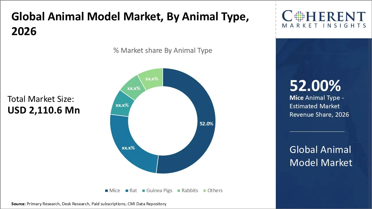 Animal Model Market By Animal Type